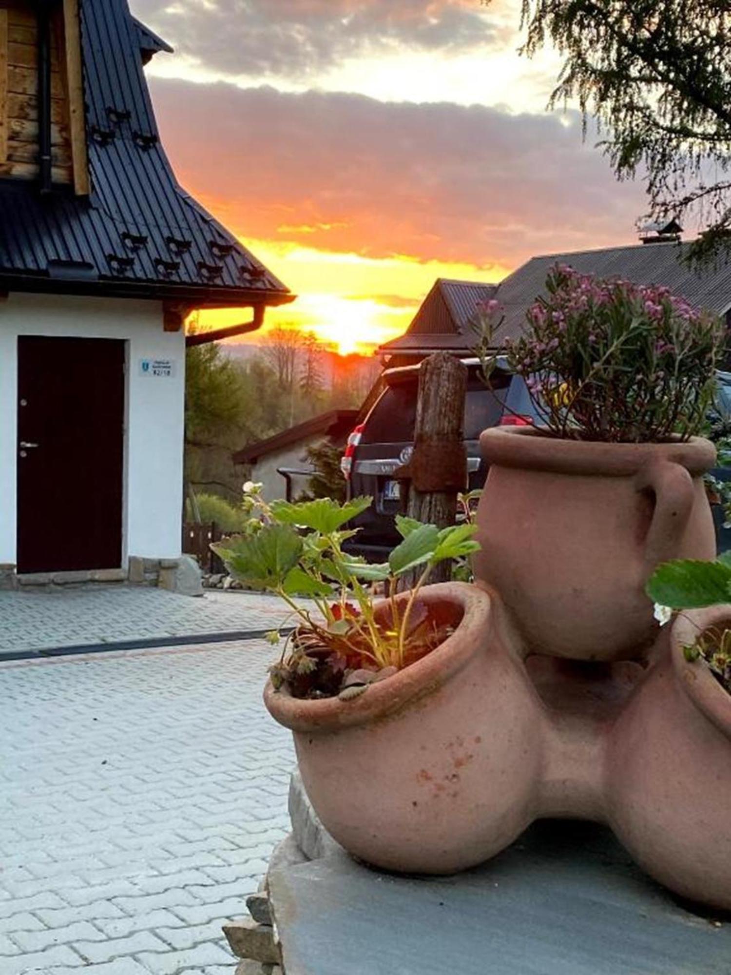 Domki I Apartamenty Na Wyskowkach Jacuzzi & Sauna Zakopane Eksteriør billede